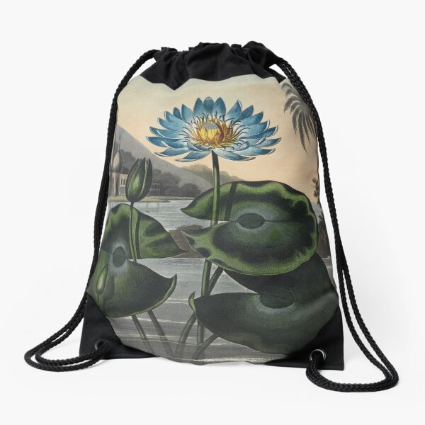 Botanical illustration: Blue Egyptian water lily by Robert Thornton – State Library Victoria Drawstring Bag