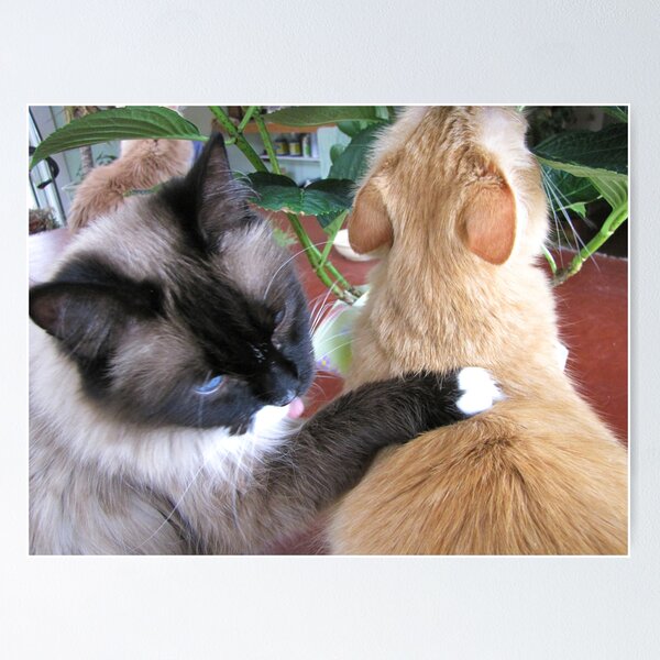 Item preview, Ooooohhhh Yeah - that's the spot!   designed and sold by maxy.