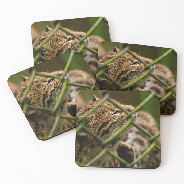 Item preview, Gato do mato designed and sold by cahmontemor.