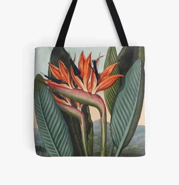 Botanical illustration: Bird of Paradise (Strelitzia) – State Library Victoria All Over Print Tote Bag