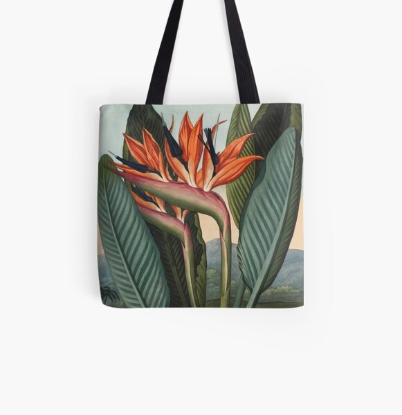 Botanical illustration: Bird of Paradise (Strelitzia) – State Library Victoria All Over Print Tote Bag
