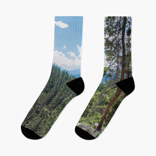 Item preview, Forest View of Banff National Park, Alberta designed and sold by jrtwynam.