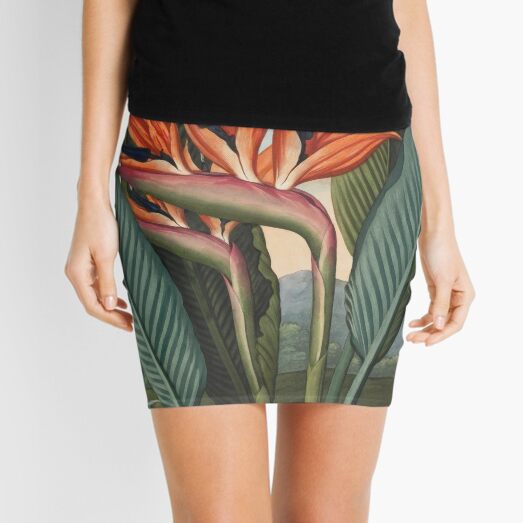 Botanical illustration: Bird of Paradise (Strelitzia) – State Library Victoria Mini Skirt