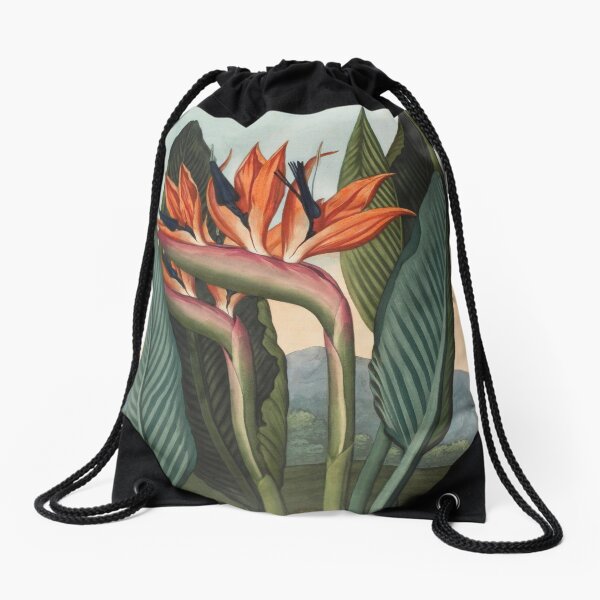 Botanical illustration: Bird of Paradise (Strelitzia) – State Library Victoria Drawstring Bag
