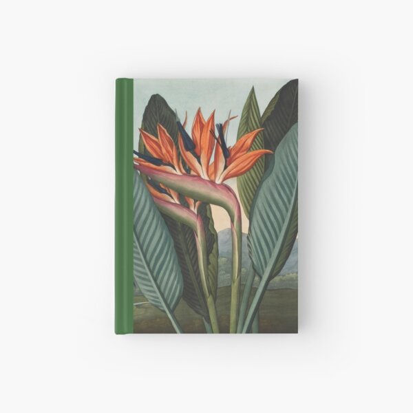 Botanical illustration: Bird of Paradise (Strelitzia) – State Library Victoria Hardcover Journal