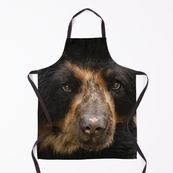 Item preview, Urso de óculos designed and sold by cahmontemor.