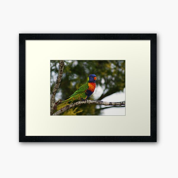 True Colours Framed Art Print