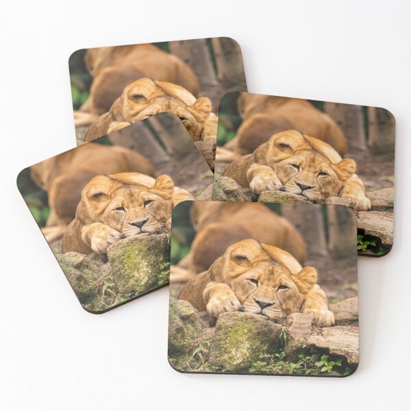 Item preview, Sleepy Lion designed and sold by cahmontemor.