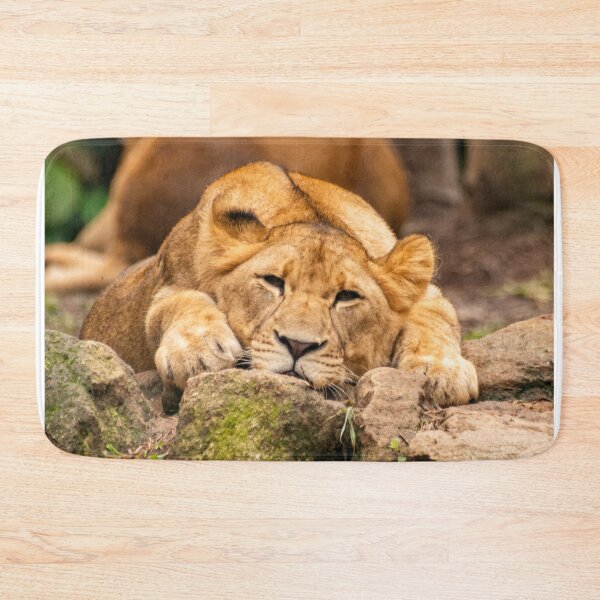 Item preview, Sleepy Lion designed and sold by cahmontemor.