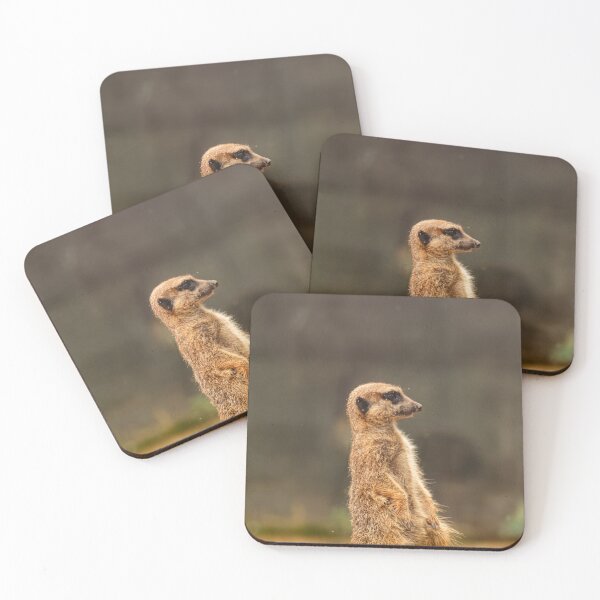 Item preview, Meerkat designed and sold by cahmontemor.