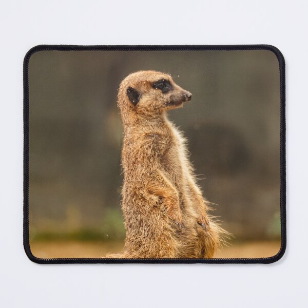 Item preview, Meerkat designed and sold by cahmontemor.