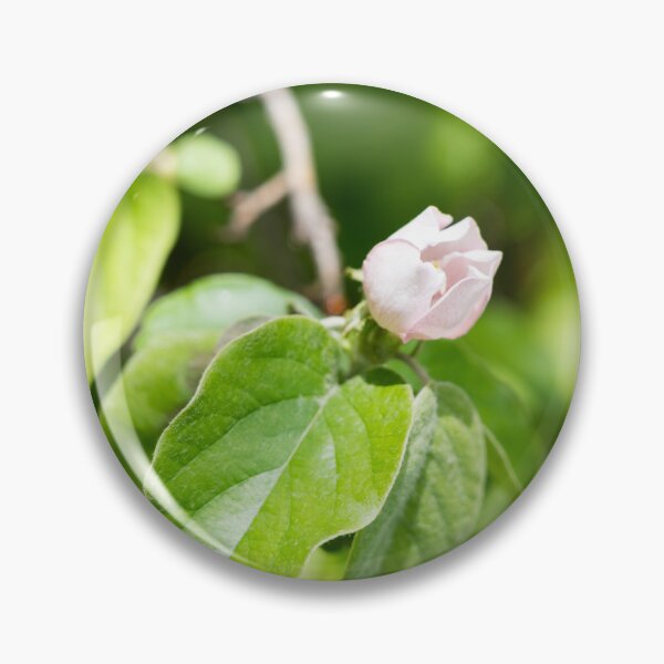 Item preview, A Single Quince Tree Bud in Vibrant Green Leafery designed and sold by Georgia Mizuleva.