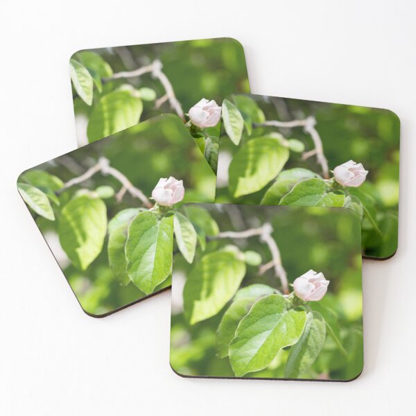 Item preview, A Single Quince Tree Bud in Vibrant Green Leafery designed and sold by Georgia Mizuleva.
