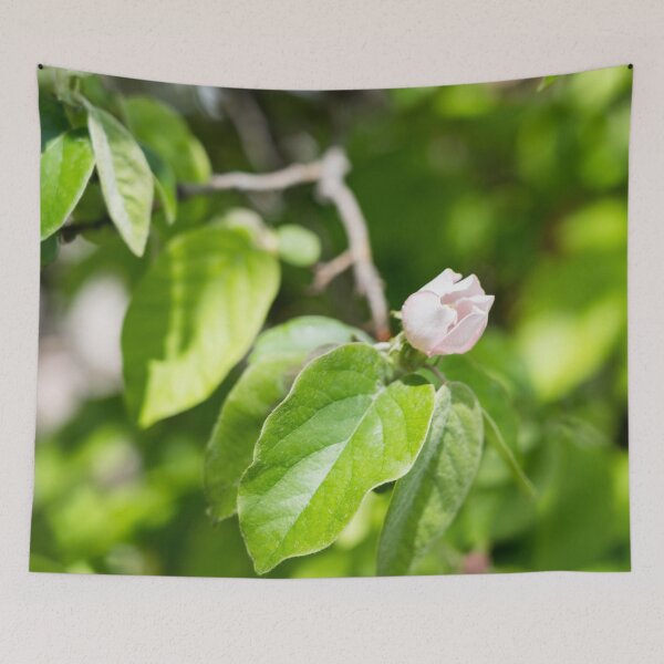 Item preview, A Single Quince Tree Bud in Vibrant Green Leafery designed and sold by Georgia Mizuleva.