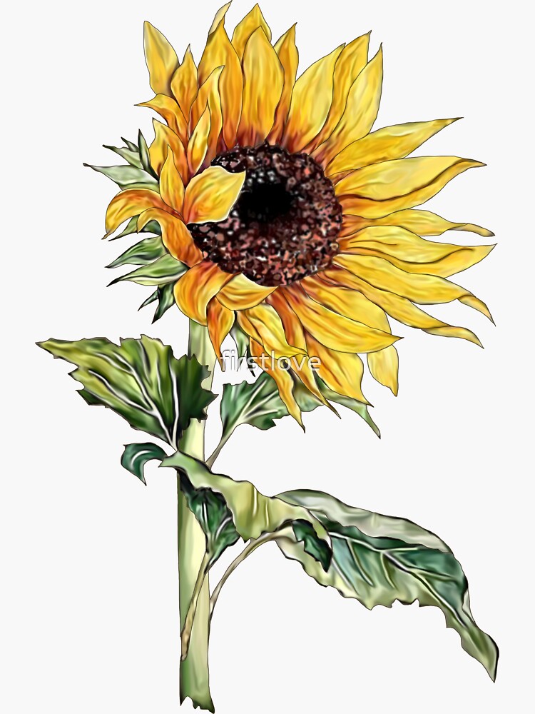 Sunflower by firstlove