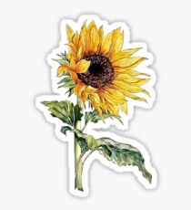 Sunflower Sticker