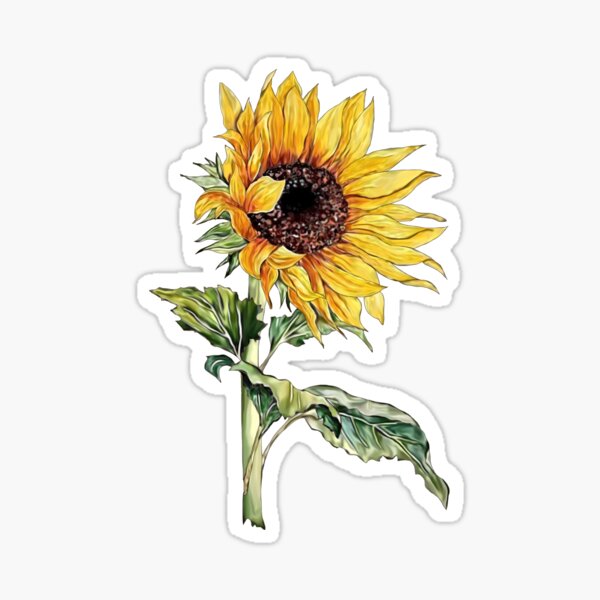 Sunflower Stickers Redbubble