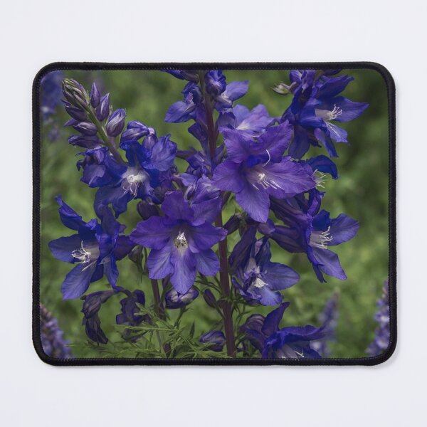 Item preview, Larkspur designed and sold by Courtney Croxall.