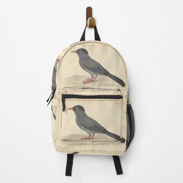 Item preview, Black Bulbul by Frederick John Shore designed and sold by Amanda1775.
