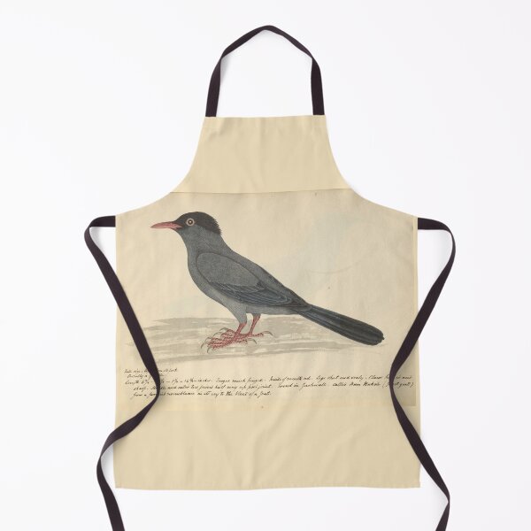 Item preview, Black Bulbul by Frederick John Shore designed and sold by Amanda1775.