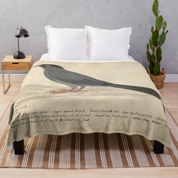 Item preview, Black Bulbul by Frederick John Shore designed and sold by Amanda1775.