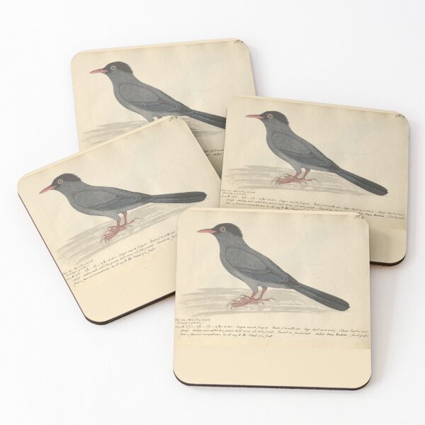 Item preview, Black Bulbul by Frederick John Shore designed and sold by Amanda1775.