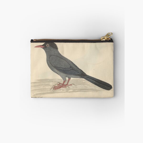 Item preview, Black Bulbul by Frederick John Shore designed and sold by Amanda1775.