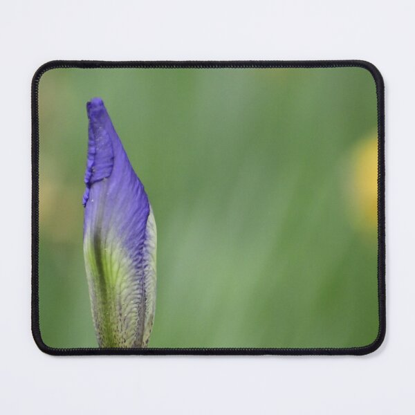 Item preview, Anticipation of spring  designed and sold by FoxGlove5.