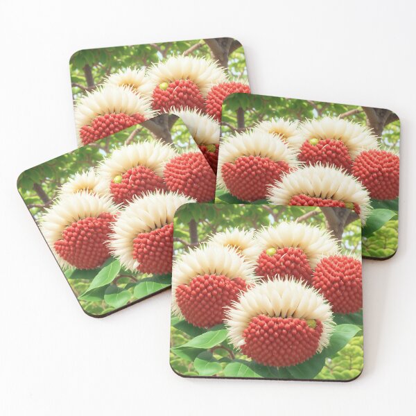 Item preview, Rambutan Transformer. designed and sold by PatDoArt.