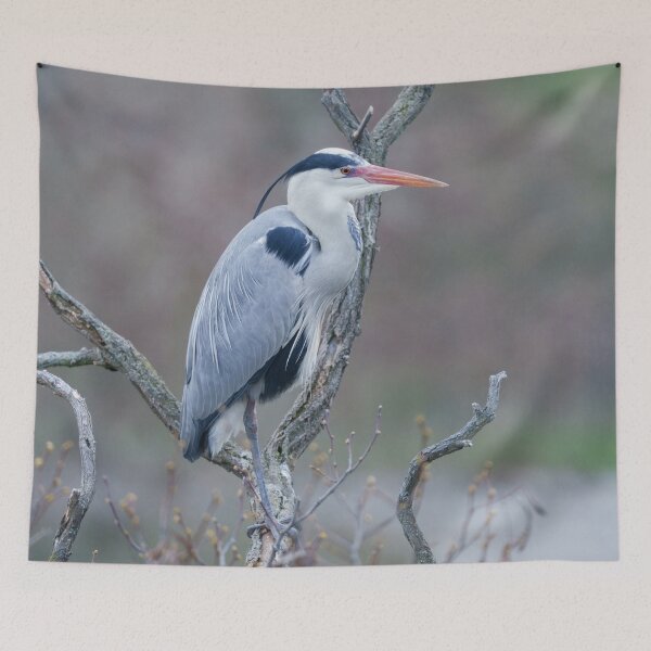 Item preview, Solitary Watcher Grey Heron designed and sold by rawshutterbug.
