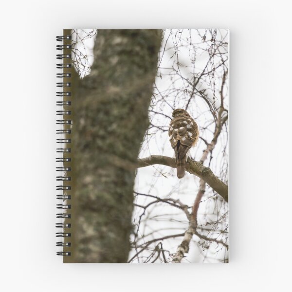 Item preview, The Young One. Eurasian sparrowhawk designed and sold by Jouko Lehto Photography.