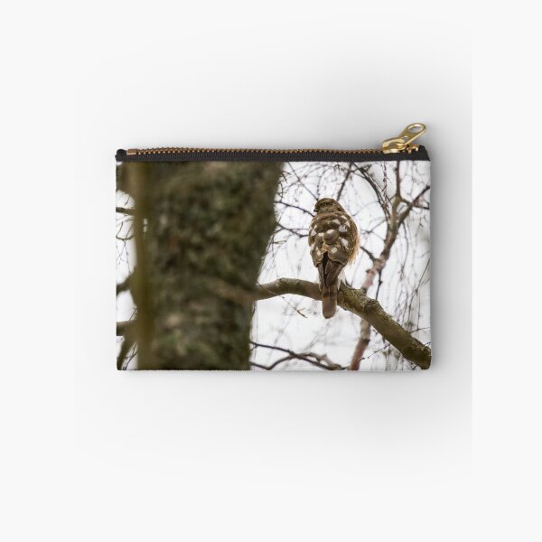 Item preview, The Young One. Eurasian sparrowhawk designed and sold by Jouko Lehto Photography.