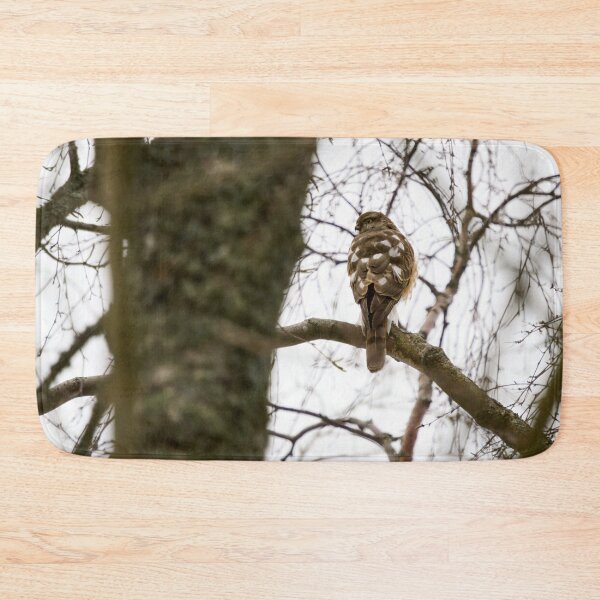 Item preview, The Young One. Eurasian sparrowhawk designed and sold by Jouko Lehto Photography.