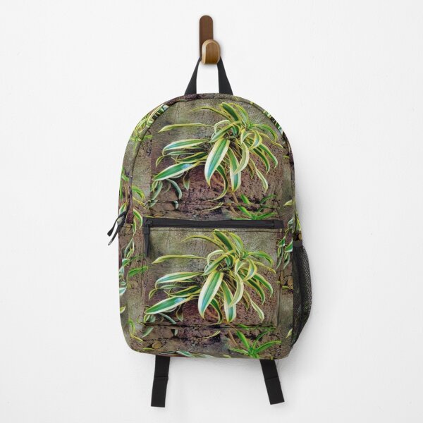 Item preview, Swordplant/Snakeplant in summer sunset designed and sold by calmingchaos.