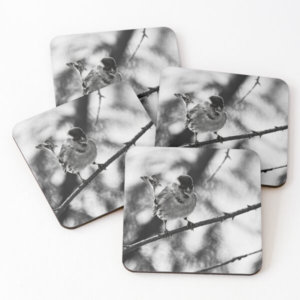 Item preview, Tweeting Siskin bw designed and sold by Jouko Lehto Photography.