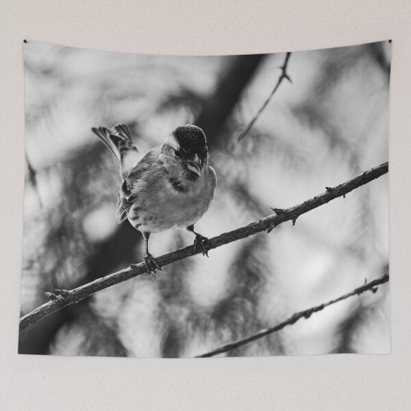 Item preview, Tweeting Siskin bw designed and sold by Jouko Lehto Photography.