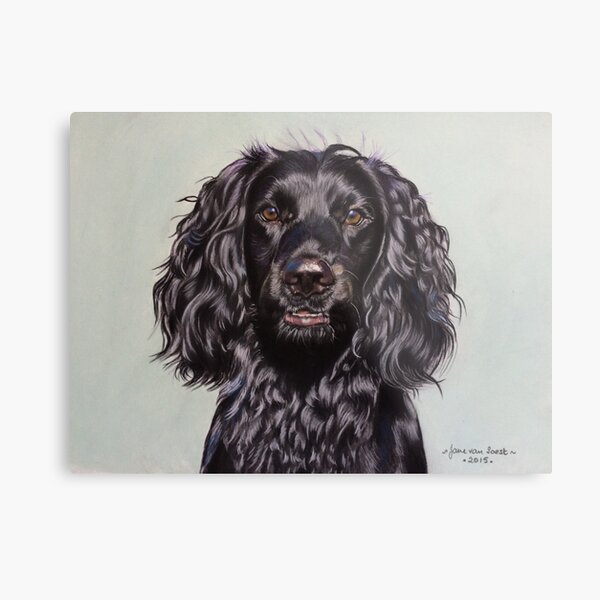 black working cocker spaniel gifts