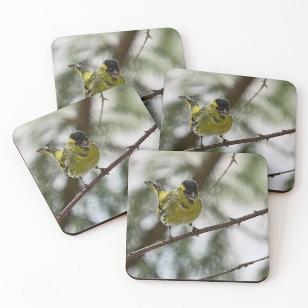 Item preview, Tweeting Siskin designed and sold by Jouko Lehto Photography.