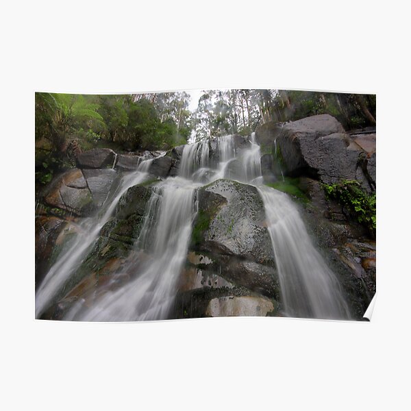Toorongo Falls - a view from the base Poster