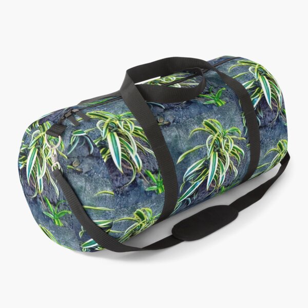 Item preview, Swordplant/Snakeplant in the cold morning. designed and sold by calmingchaos.