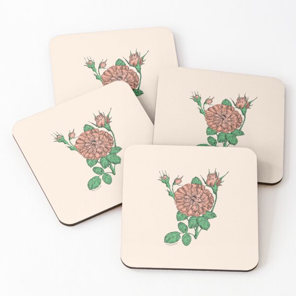 Item preview, Apricot Rosette Rose Bloom Very Full 40+ Petals In 3+ Rows designed and sold by Rachael Taylor.