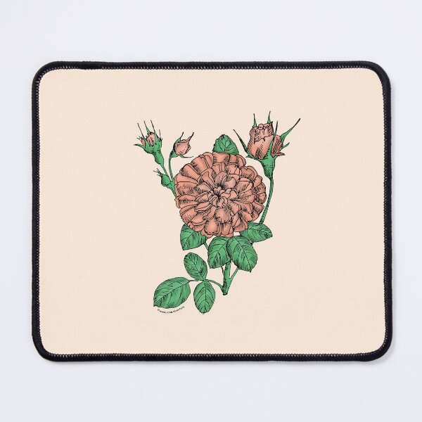 Item preview, Apricot Rosette Rose Bloom Very Full 40+ Petals In 3+ Rows designed and sold by Rachael Taylor.