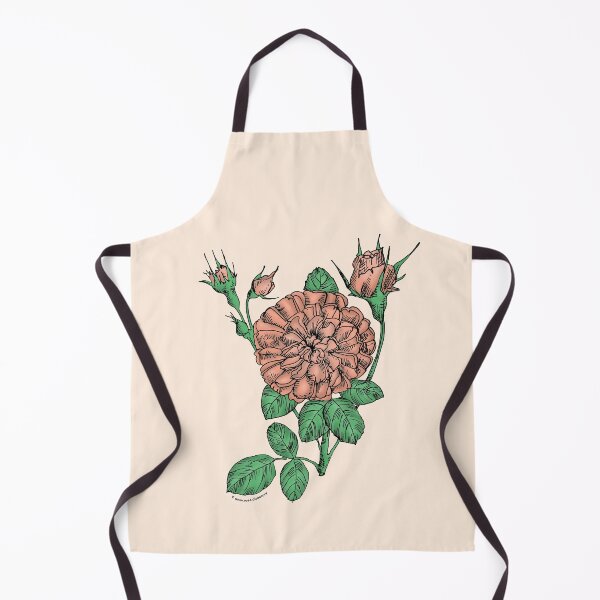 Item preview, Apricot Rosette Rose Bloom Very Full 40+ Petals In 3+ Rows designed and sold by Rachael Taylor.