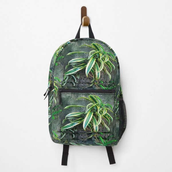 Item preview, Snakeplant/Swordplant on a regular morning. designed and sold by calmingchaos.