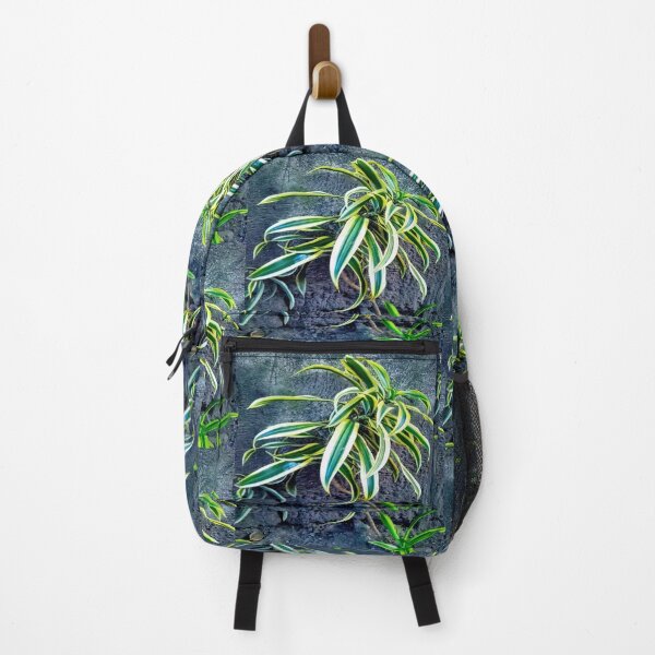 Item preview, Swordplant/Snakeplant in the cold morning. designed and sold by calmingchaos.