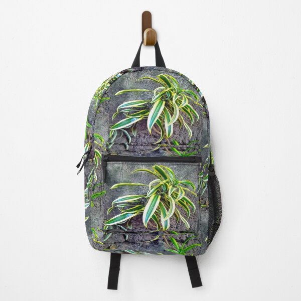 Item preview, Swordplant/Snakeplant in noontime designed and sold by calmingchaos.