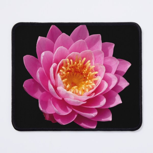 Item preview, Pink Waterlily Lotus Flower designed and sold by jaynerushton.