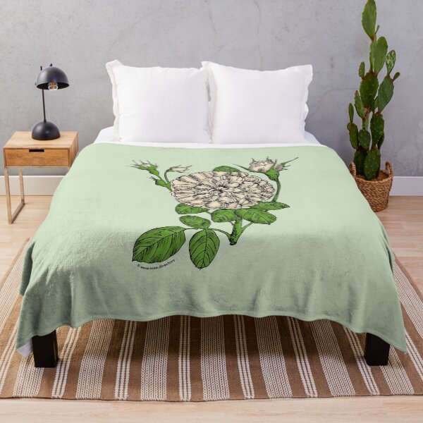 Item preview, Cream Rosette Rose Bloom Very Full 40+ Petals In 3+ Rows designed and sold by Rachael Taylor.