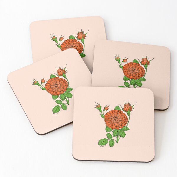 Item preview, Orange Rosette Rose Bloom Very Full 40+ Petals In 3+ Rows designed and sold by Rachael Taylor.