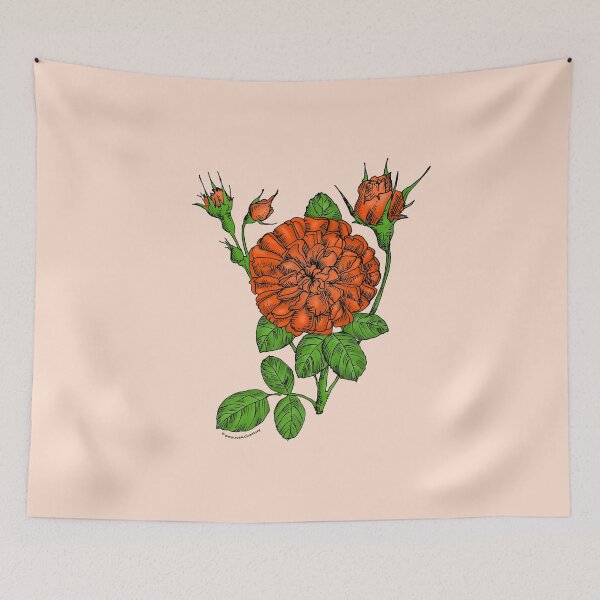 Item preview, Orange Rosette Rose Bloom Very Full 40+ Petals In 3+ Rows designed and sold by Rachael Taylor.